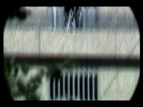 SE LARS, EN PANSERBASSE!