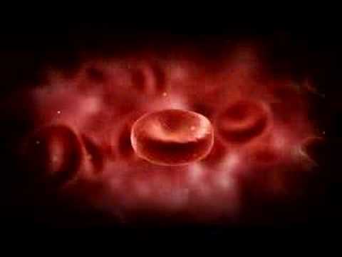 Tutthelminths intestinale supplementare Come loro per eliminare vermi alla persona