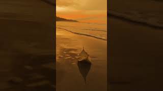 Download lagu mentahan video aesthetic sunset untuk bahan quotes terbaru, free download mp3