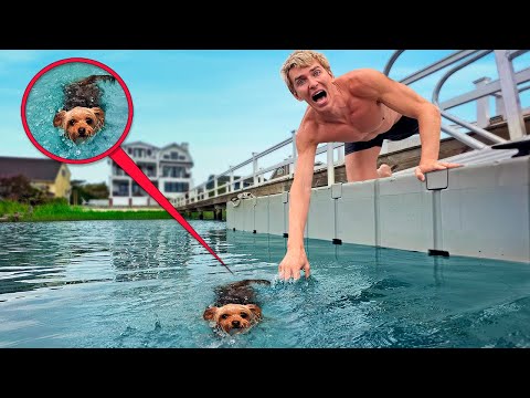 My Moms Dog Almost DROWNED!! (Otter Sharer)