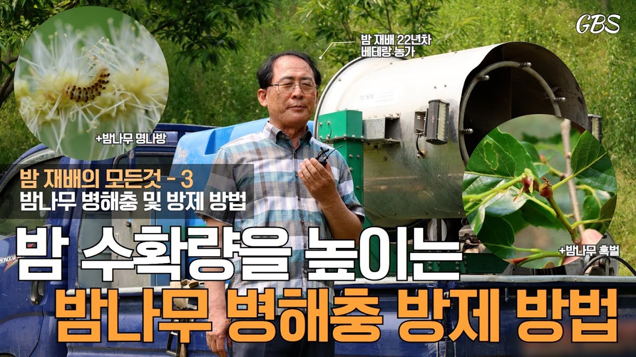 [밤의 모든것 3] 밤 병해충 방제 방법