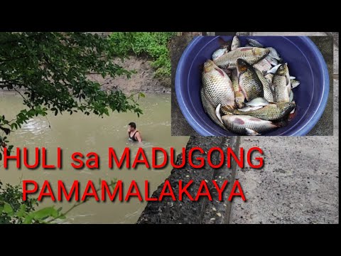 HULI KO SA MADUGONG PAMAMALAKAYA SA BUSTOS
