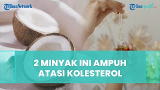 dr. Zaidul Akbar Sebut Dua Jenis Minyak Ini Ampuh untuk Mengatasi Kolesterol