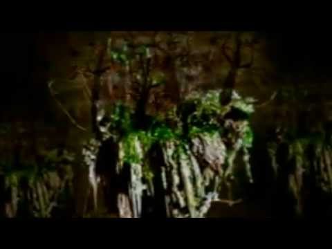 Nirmanakayas  -   X - Aler