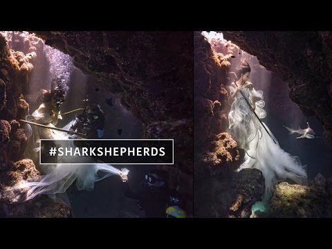 Model Tied Down with Sharks to Create Surreal Shark Shepherd Photoshoot