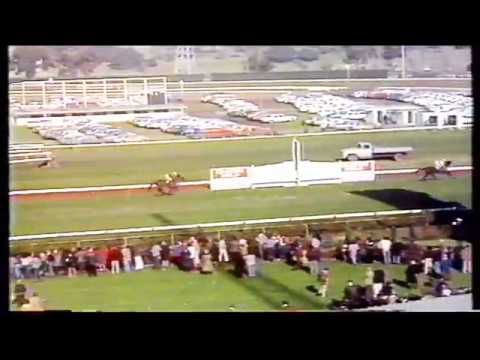 1978 VRC  Grand National Hurdle
