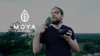 Test zielonej herbaty Moya Matcha, opinie. Czajnikowy.pl