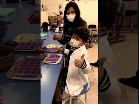 Reversible Chocolate By Class 2D