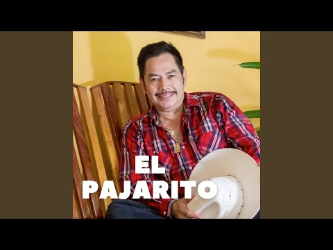 El Pajarito