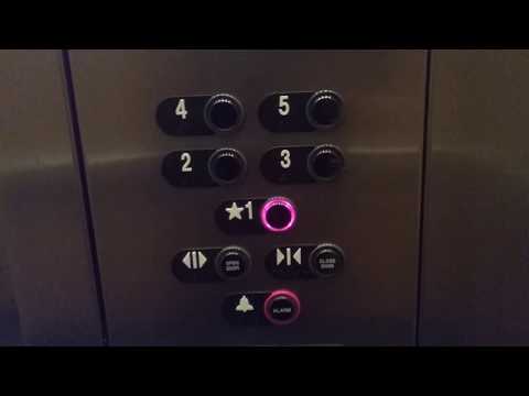 ThyssenKrupp Hydraulic Elevator @ Hampton Inn - Lino Lakes, MN