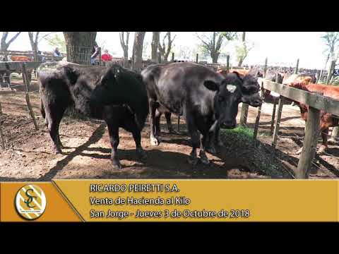 03-10-18 Venta de Gordo - Ricardo Peiretti S.A. - San Jorge