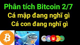 Phân tích bitcoin altcoin hôm nay ngày 2/7 cập nhật thị trường crypto mới nhất hôm nay