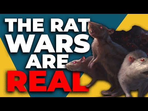 New York City is INFESTED | Rat Wars