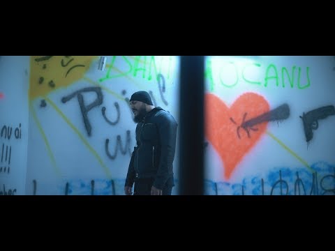 Dani Mocanu - Puiul meu ????  | Official Video