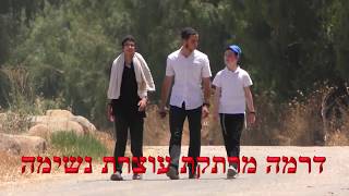 כל יהודי יהלום - פרומו
