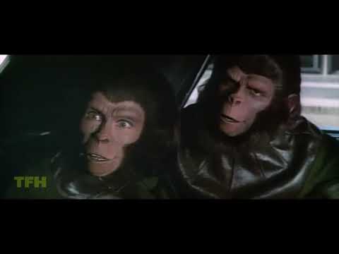 afbeelding Dana Gould on ESCAPE FROM THE PLANET OF THE APES