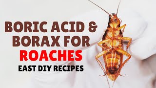 Boric Acid and Borax For Roaches: Easy Recipes