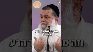 מתי ידעתי שאני אהיה רב? (ארגון ענפים) - התמונה מוצגת ישירות מתוך אתר האינטרנט יוטיוב. זכויות היוצרים בתמונה שייכות ליוצרה. קישור קרדיט למקור התוכן נמצא בתוך דף הסרטון