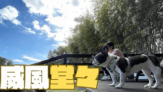 【伊豆旅行Final】最高の思い出になりました☺️