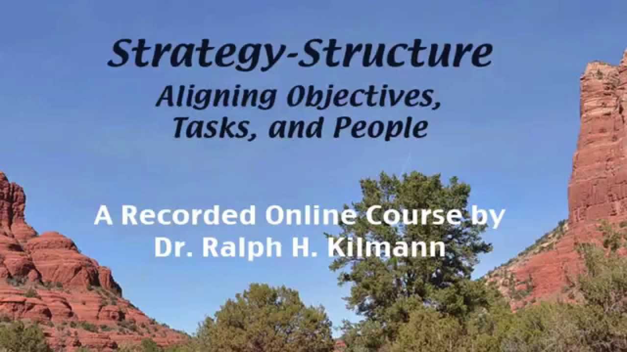 Aligning Strategy-Structure