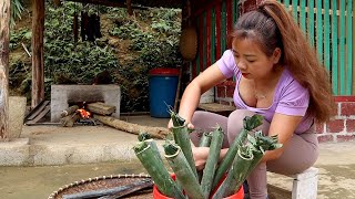 3 Years Alone Building Farm in the Valley. Technique of Cooking Rice in Bamboo Tubes. Ep 119