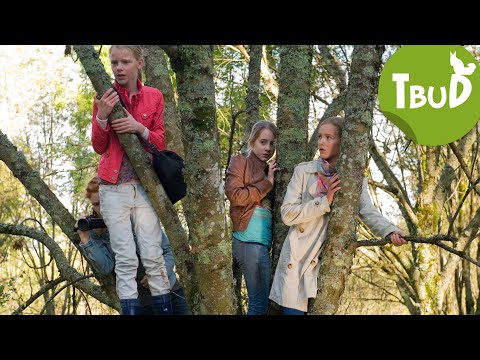 Wie die Wildsau (Folge 23) | Tiere bis unters Dach
