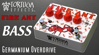 Video thumbnail for Tortuga Effects: BASS - Fire Ant Germanium Overdrive by Tortuga Television