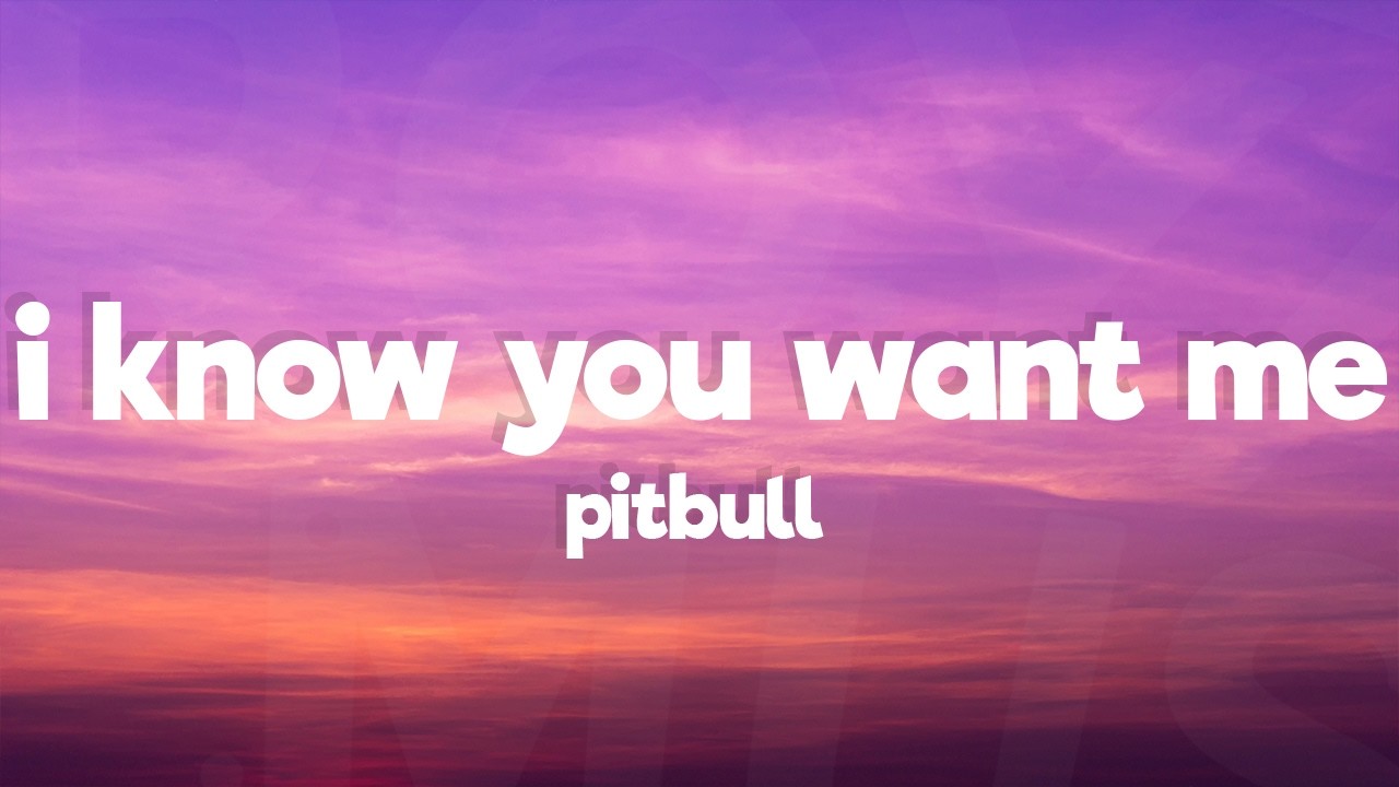Pitbull - I Know You Want Me (Calle Ocho) (Lyrics)