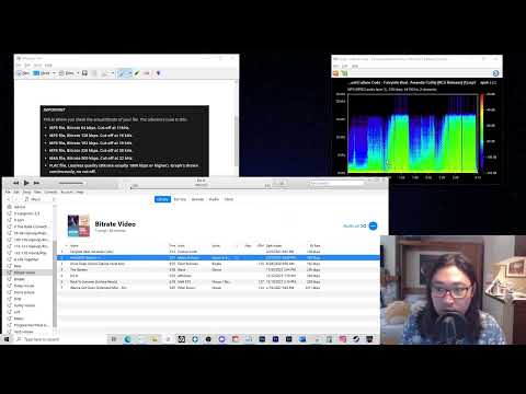 Using Spek To Check Integrity of Music Library for DJing