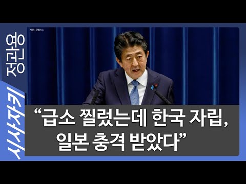 "급소 찔렀는데 한국 자립, 일본 충격 받았다" - 일본 게이센여학원대 이영채 교수