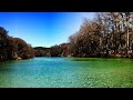 The American Analog Set ~ The Green Green Grass
