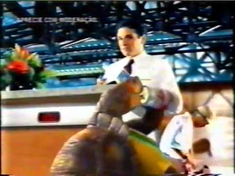 Brahma (Tema da tartaruga na copa 2002) - Jingles