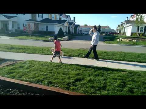 Shourya playing with dog named lazy (US 2016)