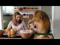 World Of Zoo TV Spot
