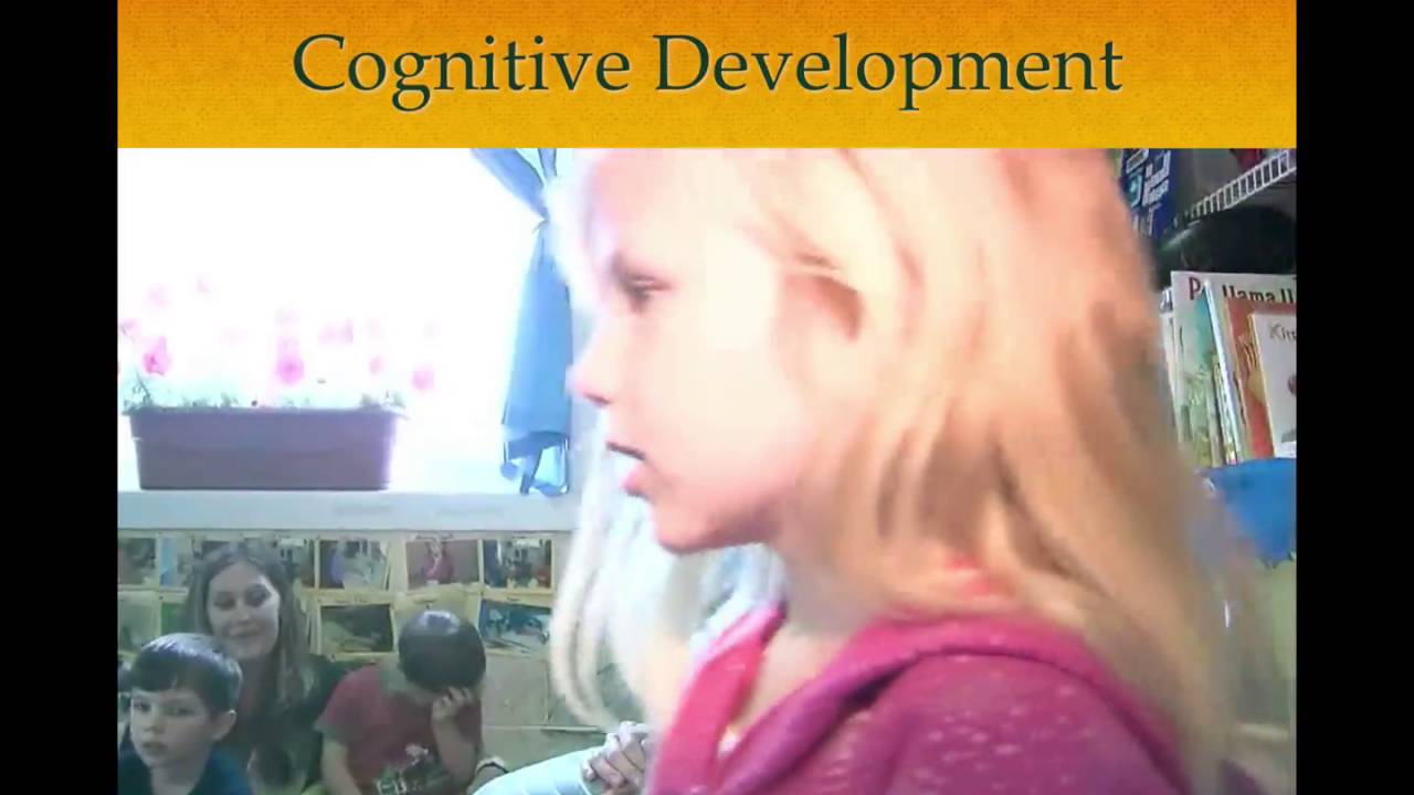 NCFELD CD PPT Video1