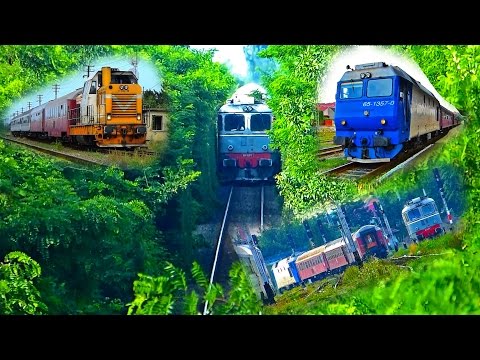 Trenuri / Trains in Bihor County Vol.27 ~ Oradea - Episcopia Bihor (28 06 2015)