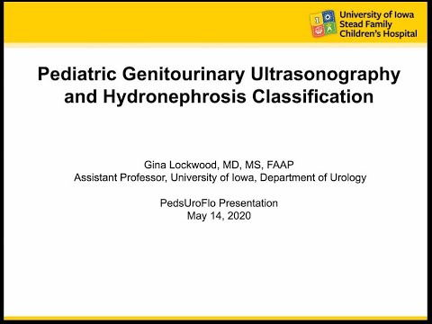 5.14.2020 PedsUroFLO Lecture - Pediatric GU Ultrasonography and Hydronephrosis Classification