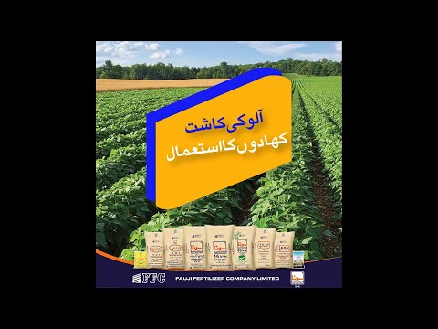 , title : 'Fertilization of Potato Crop - Sona Urea FFC'