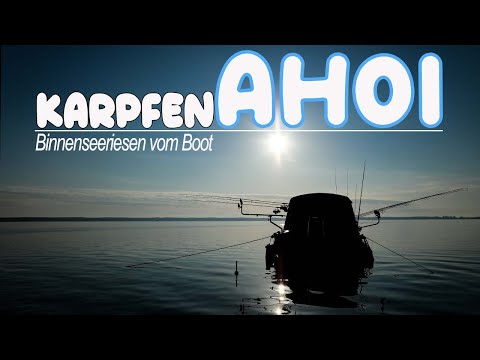 Dreambaits präsentiert: Karpfen AHOI! Binnenseeriesen vom Boot - Karpfenangeln 2022