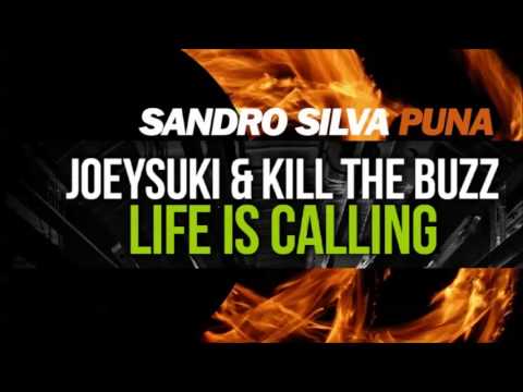 Sandro Silva vs Joeysuki & Kill The Buzz - Life Is Puna (MatSmash Mashup)