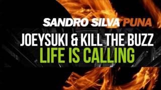 Sandro Silva vs Joeysuki & Kill The Buzz - Life Is Puna (MatSmash Mashup)