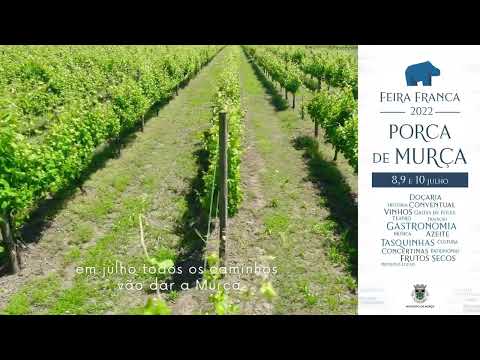 Promoção da Feira Franca "Porca de Murça" 2022 (Promo 2)