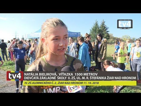 MAJSTROVSTVÁ OKRESU ŽIAR NAD HRONOM V CEZPOĽNOM BEHU