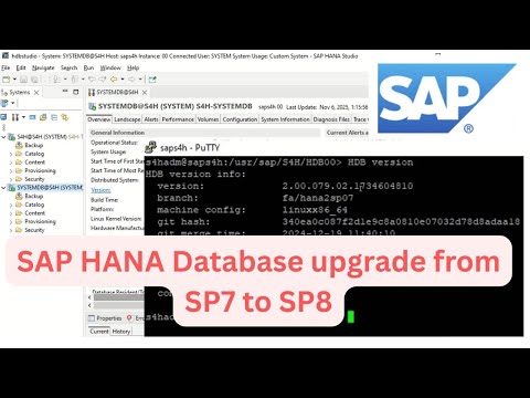 Sap7 SAP HANA Database Upgrade from SP7 to SP8 Step-by-Step | HANA Version ...