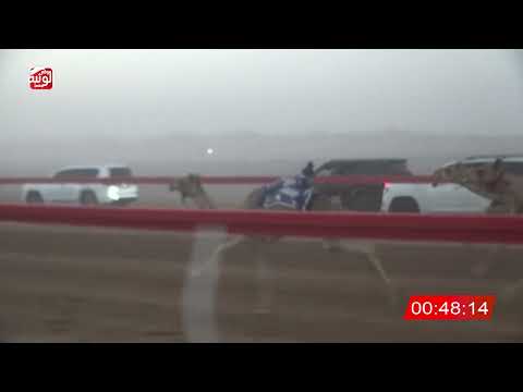  ش 2 (شاهين) لـ مبارك سلطان جمعه بن كلثم الخييلي 2:05 ، شارة الصندوق 2026/05/02 فطامين الروضة