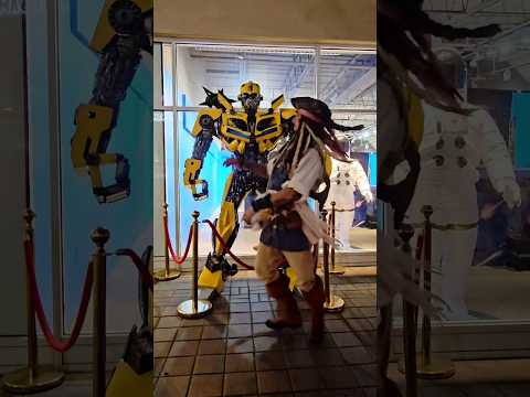 How to trick #algorithm #maybe #random #4u #hashtags #transform #bumblebee #Jacksparrow #runwithjack