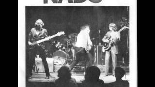 The Nads-Blame it on the priests.wmv