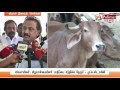 Ban On Beaf Is A For Popularity Says MK Stalin Polimer News
