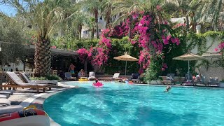 Видео об отеле   Flamingo, 0