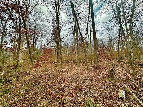 NEW LISTING: 0 Prussia Road Waverly OH 45690